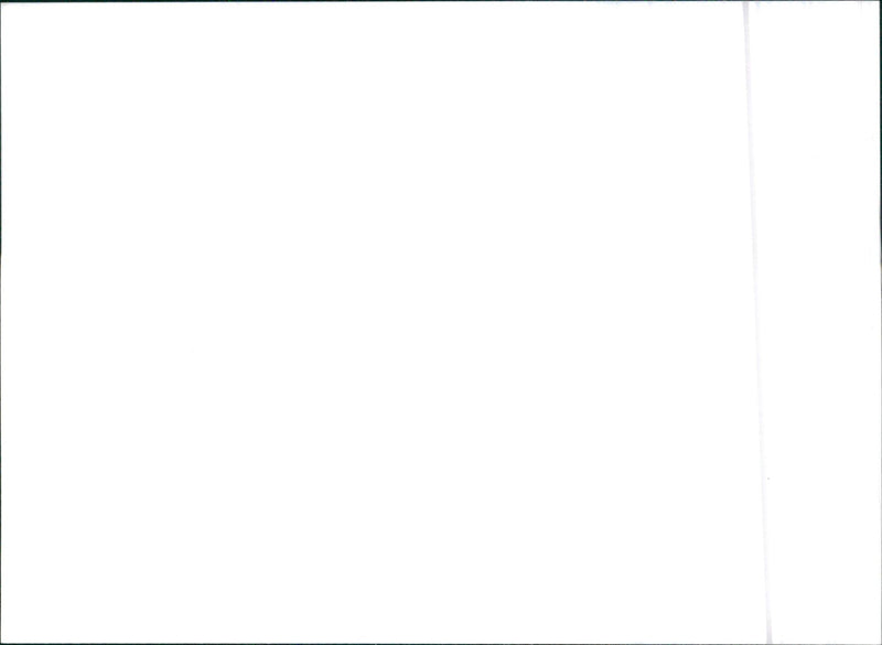 1996 SsangYong Musso - Vintage Photograph