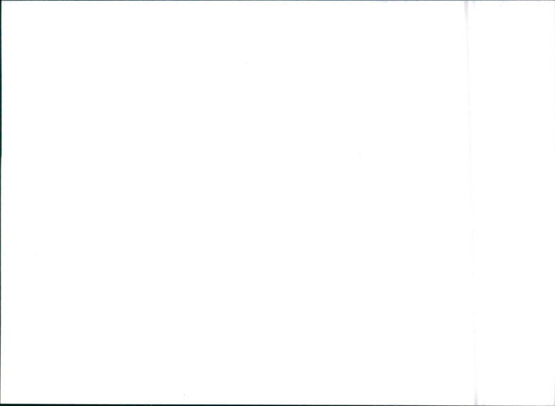 1996 SsangYong Musso - Vintage Photograph