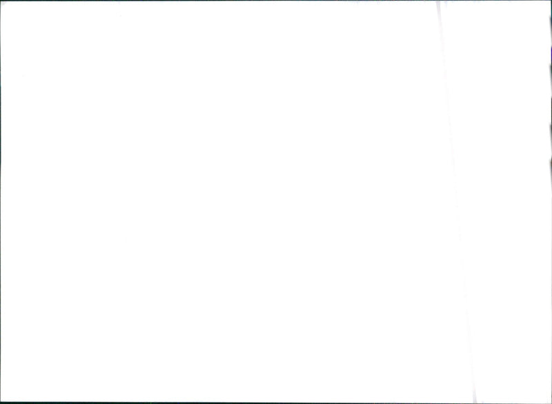 1996 SsangYong Musso - Vintage Photograph