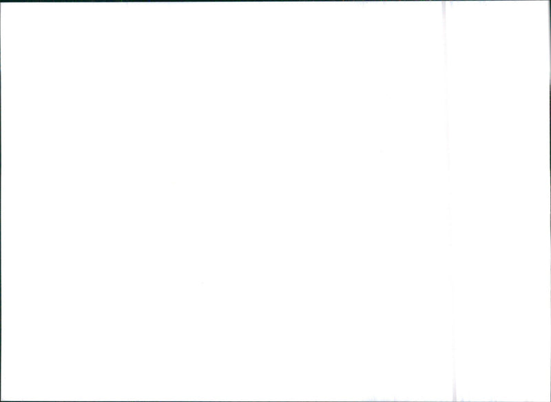 1996 SsangYong Musso - Vintage Photograph