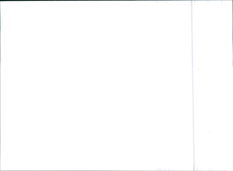 1996 SsangYong Musso - Vintage Photograph