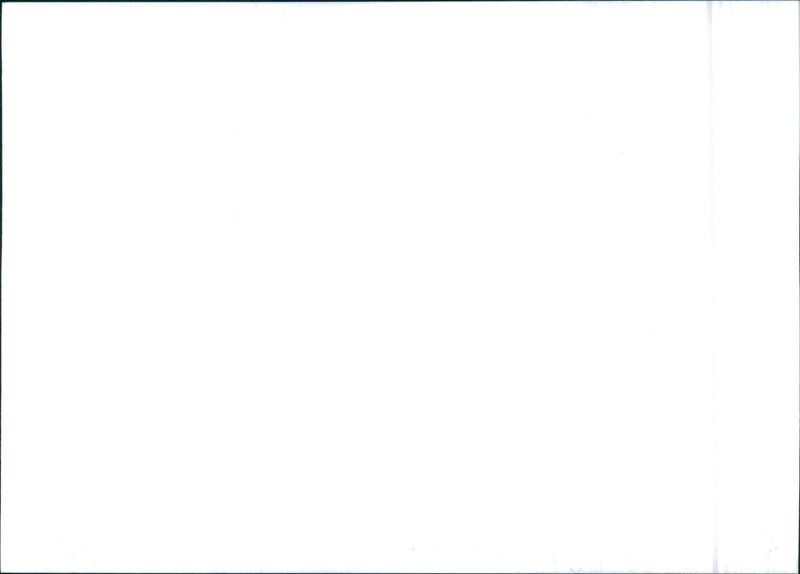 SsangYong Musso E 23 - Vintage Photograph