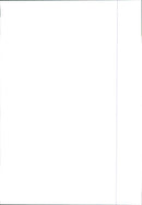 2003 Peugeot 206 - Vintage Photograph