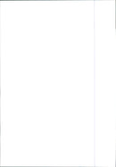 2003 Peugeot 206 - Vintage Photograph