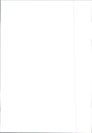 2004 Peugeot 607 - Vintage Photograph