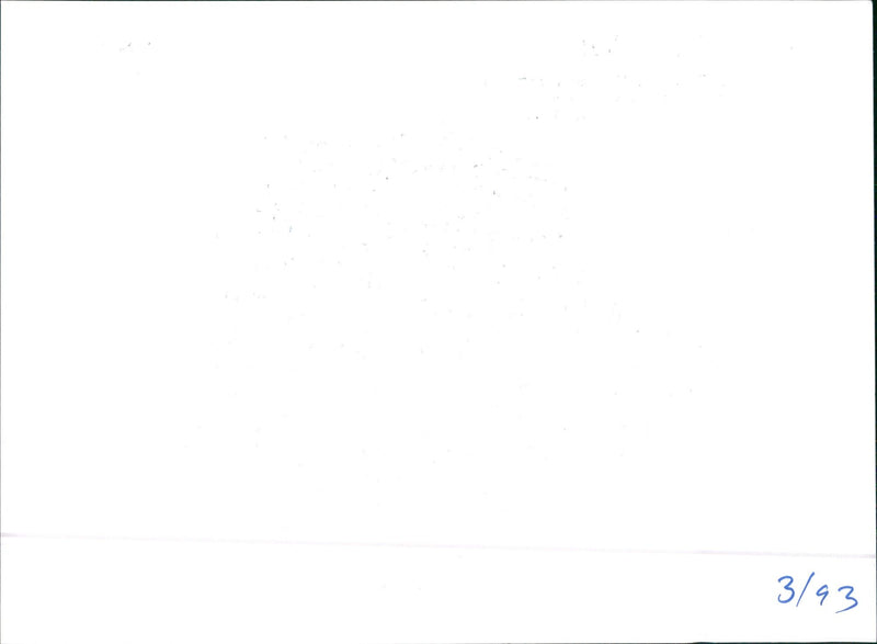 Audi 80 1.9 TDI - Vintage Photograph