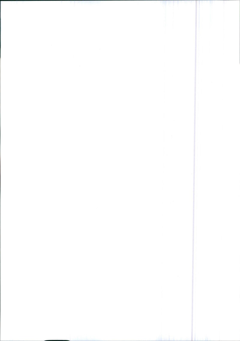 Mitsubishi Station Wagon - Vintage Photograph