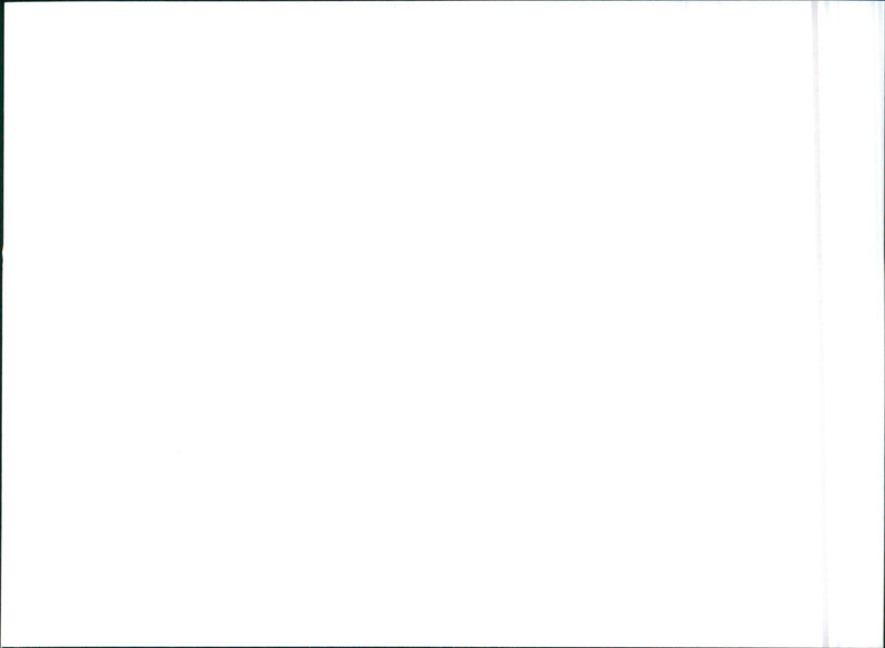 Nissan Maxima QX. - Vintage Photograph