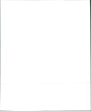 2002 Toyota Camry XLE and Toyota Camry LE - Vintage Photograph