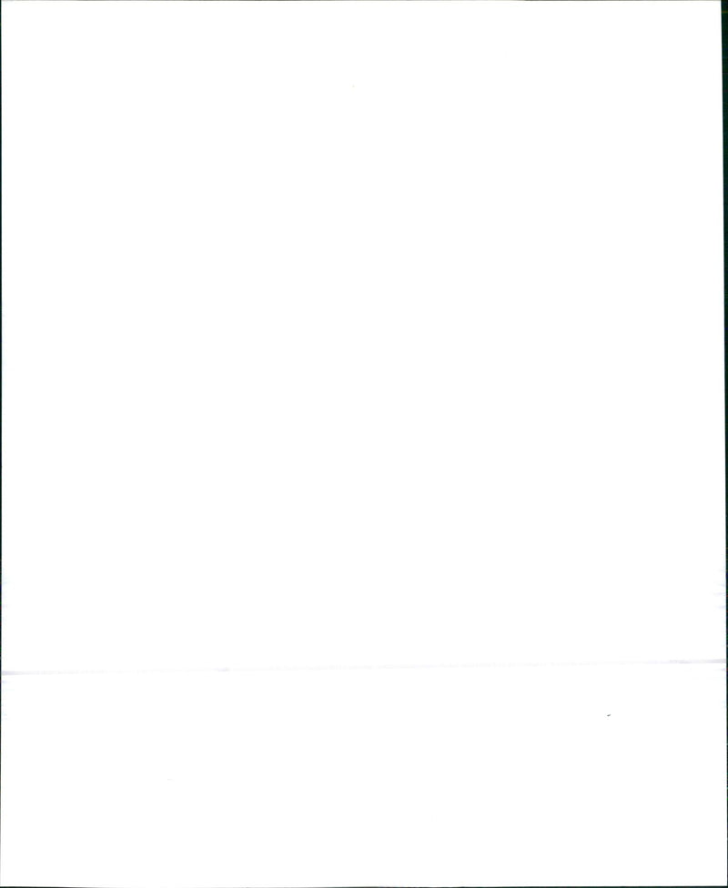 2002 Toyota Camry XLE and Toyota Camry LE - Vintage Photograph