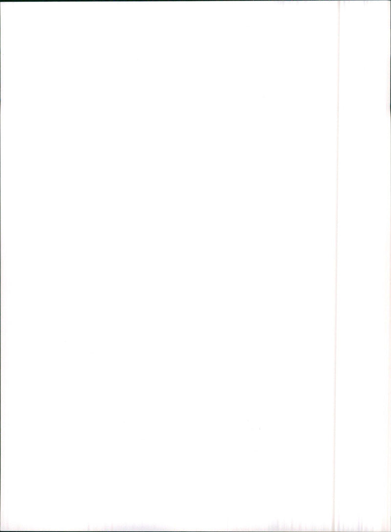 1990 Audi V8 - Vintage Photograph