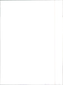 1990 Audi V8 - Vintage Photograph