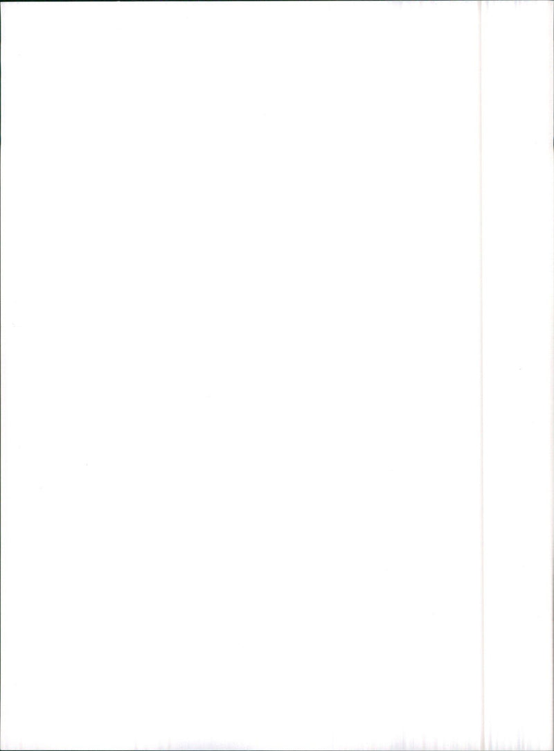 1990 Audi V8 - Vintage Photograph