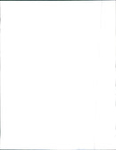 1989 Peugeot 405 Mi 16 - Vintage Photograph