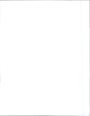 1989 Peugeot 505 Turbo - Vintage Photograph