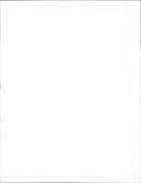 1989 Peugeot 505 Turbo - Vintage Photograph