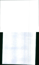 1989 ASC - Vintage Photograph