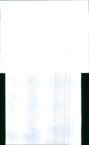 1989 ASC - Vintage Photograph