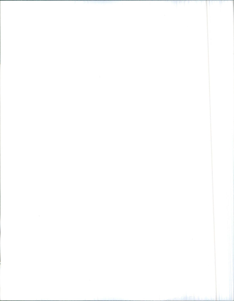 Three Versions of the Hyundai Excel - Vintage Photograph