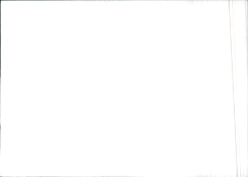 1987 Irmscher - Vintage Photograph