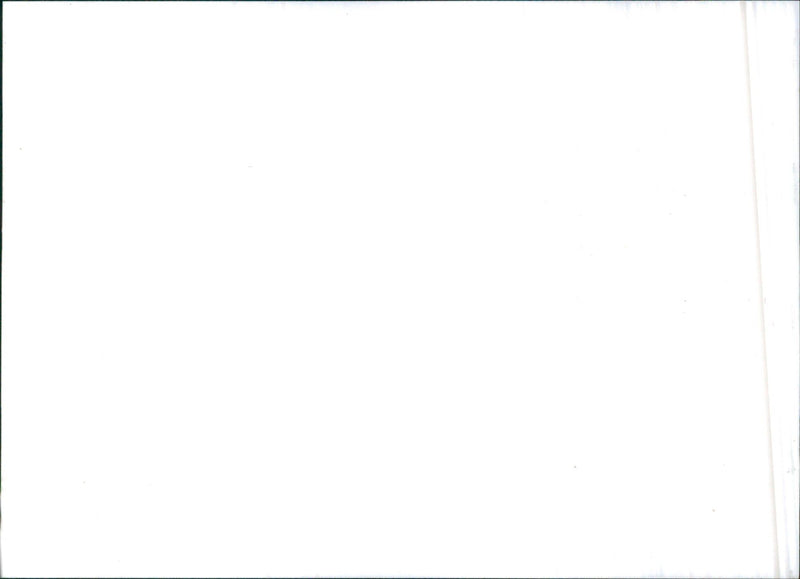 1987 Irmscher - Vintage Photograph