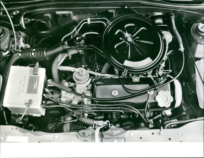 1985 Rover 213 S - Vintage Photograph