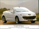 Peugeot 207 Epure - Vintage Photograph