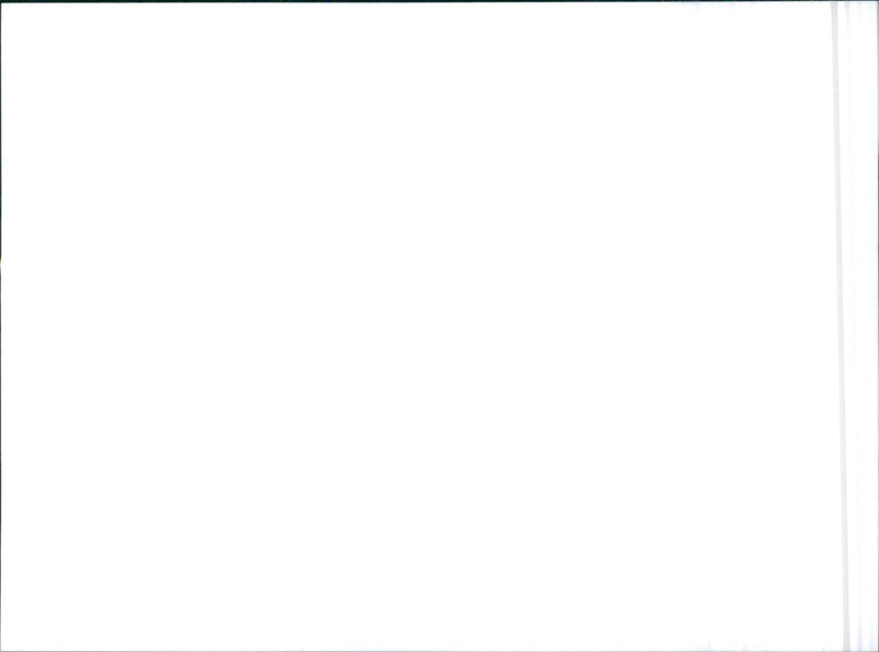 1985 Toyota Windy Cruiser - Vintage Photograph