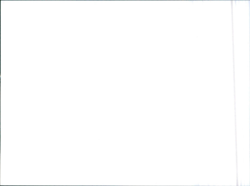 1985 Celica GT-Four - Vintage Photograph