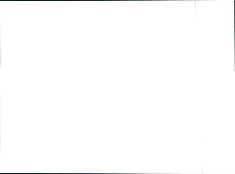 1995 Citroen ZX - Vintage Photograph