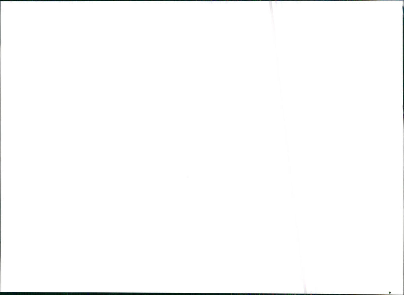 1995 Citroen Xantia - Vintage Photograph