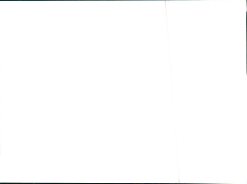 1995 Citroen XM - Vintage Photograph