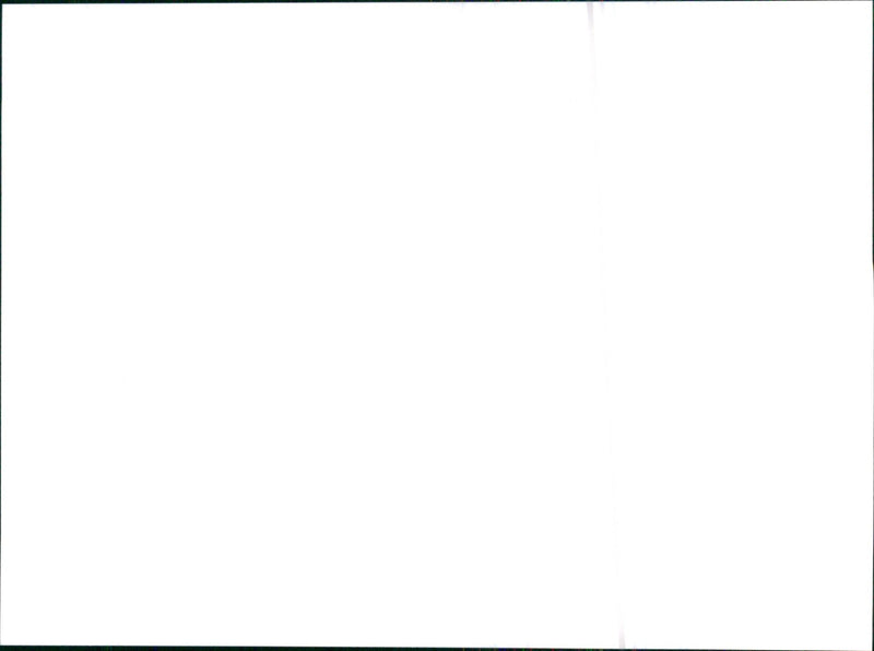 1995 Citroën Gamme - Vintage Photograph