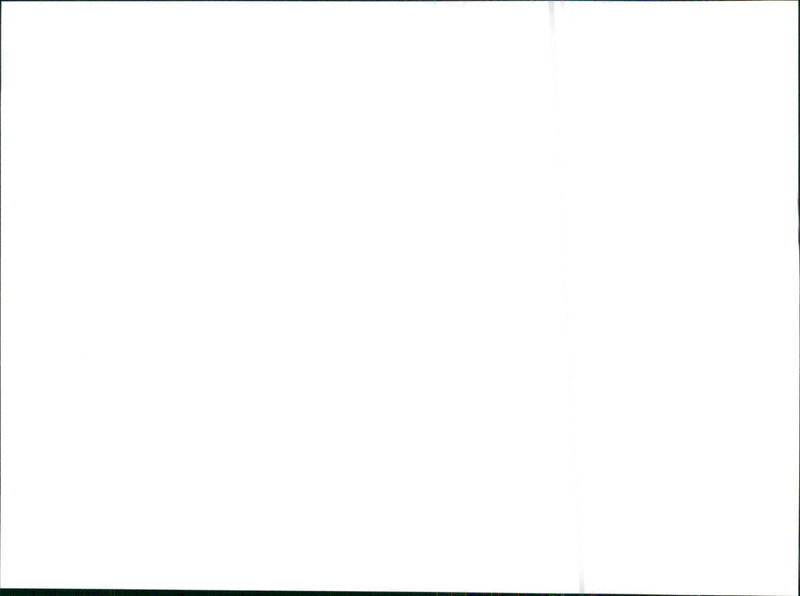 1995 Citroen Xanae - Vintage Photograph