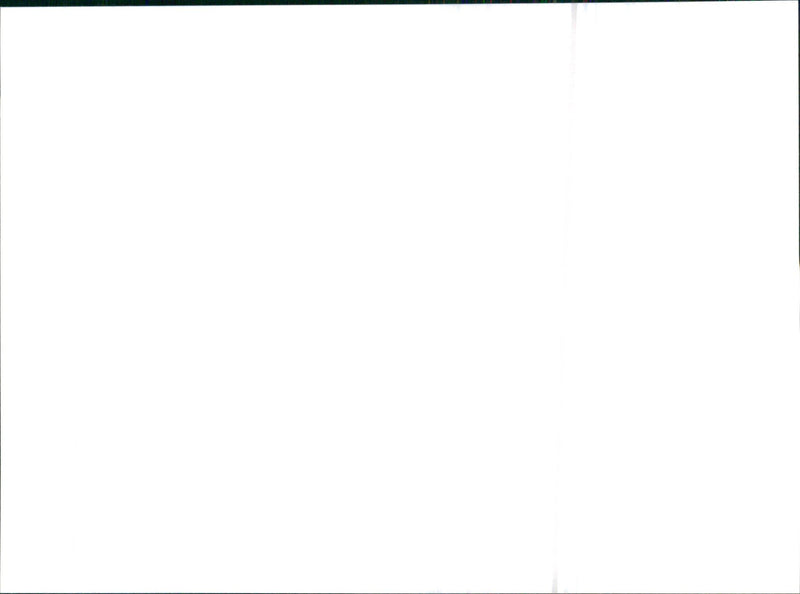 1995 Citroen Activa - Vintage Photograph