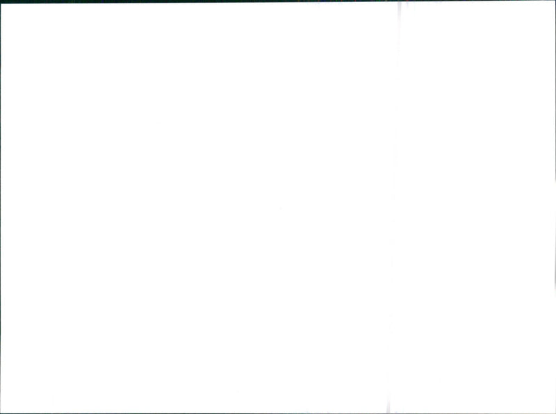 1995 Citroen XM - Vintage Photograph