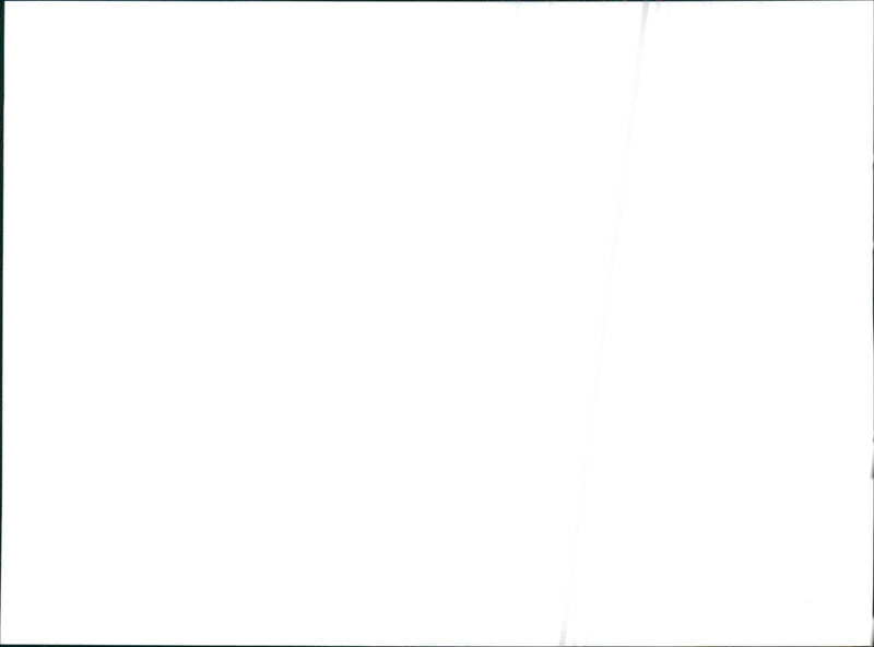 1995 Citroen Evasion - Vintage Photograph