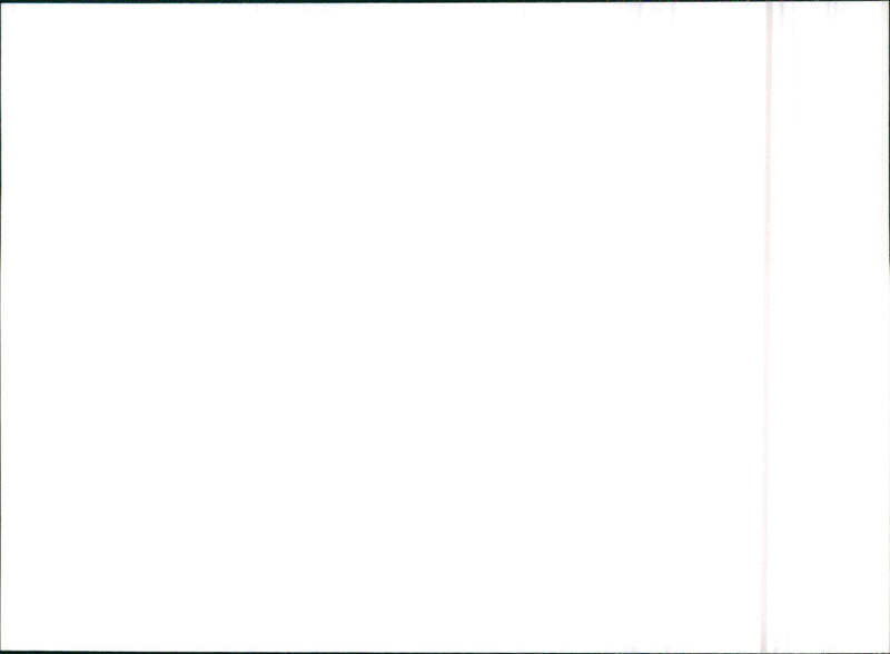 Citroen ZX Diesel 1992 - Vintage Photograph