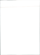 Citroen ZX Diesel 1992 - Vintage Photograph