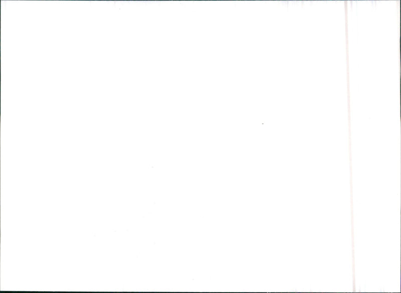 Citroen ZX Diesel 1992 - Vintage Photograph