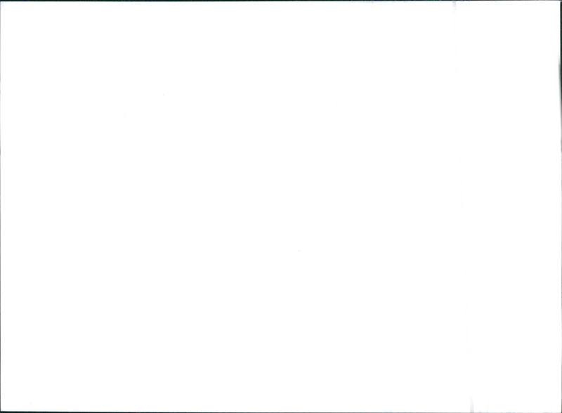 1992 Citroen BX - Vintage Photograph