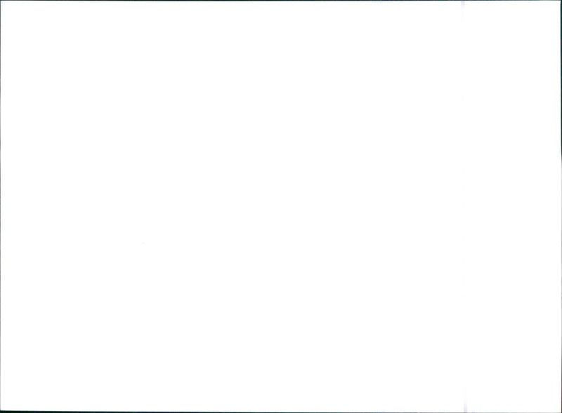 1992 Citroen ZX Volcane - Vintage Photograph