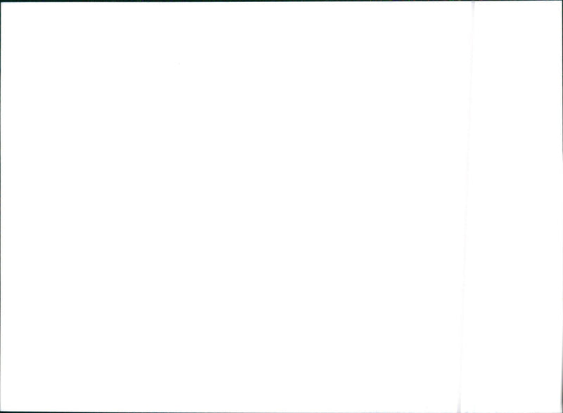 1992 Citroen ZX - Vintage Photograph