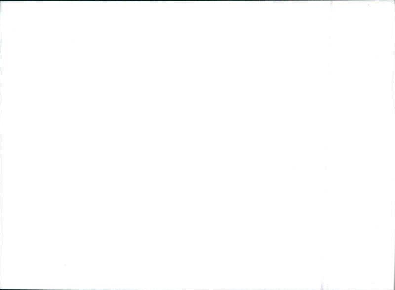 1992 Citroen AX GTi - Vintage Photograph