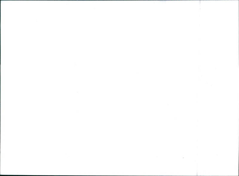 1992 Citroen AX GTi - Vintage Photograph