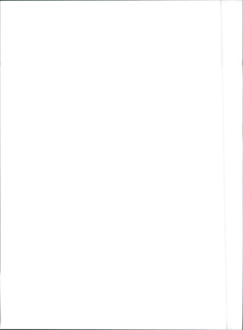 1990 Audi Coupe S2 - Vintage Photograph