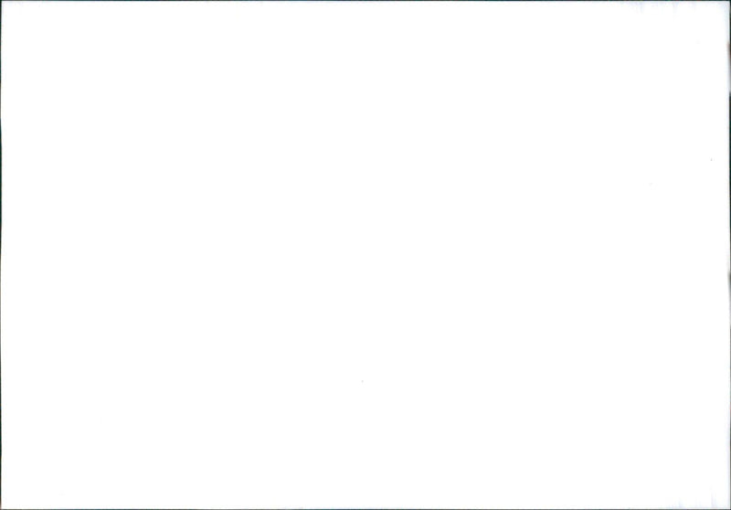 Honda CR-V Prestige 2001 - Vintage Photograph