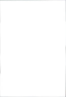 Peugeot 206 CC - Vintage Photograph