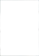 2001 Peugeot 306 Cabriolet - Vintage Photograph