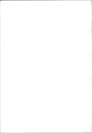 Isuzu Trooper, special model "Woodland" - Vintage Photograph